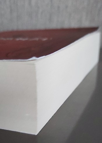 Safahat - Mehmed Akif Ersoy - Görsel 3