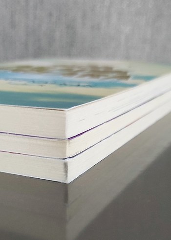 Rıfat Ilgaz, Mehmet Ali Kalkan ve Mustafa Akar Kitapları - Görsel 3