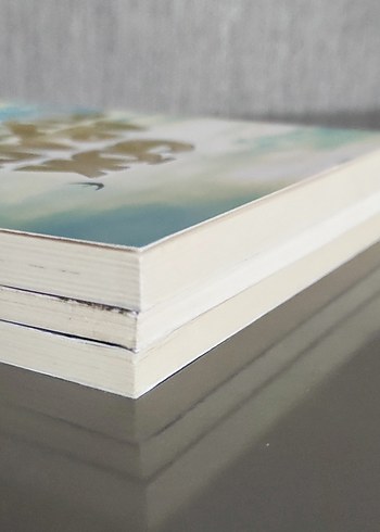 Rıfat Ilgaz, Mehmet Ali Kalkan ve Mustafa Akar Kitapları - Görsel 4