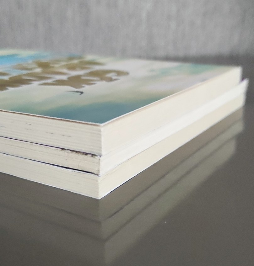 Rıfat Ilgaz, Mehmet Ali Kalkan ve Mustafa Akar Kitapları - Görsel 4