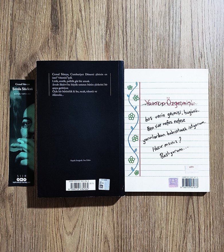 Cemal Süreya - Sevda Sözleri - Görsel 2