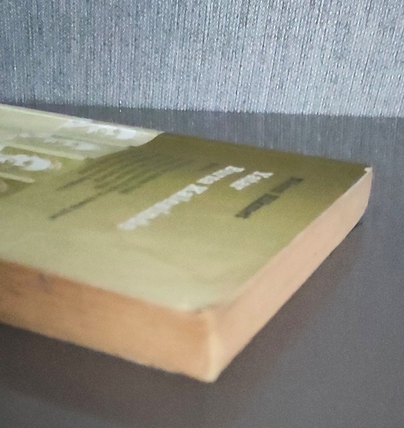 Yatar Bursa Kalesinde - Nazım Hikmet - Görsel 4