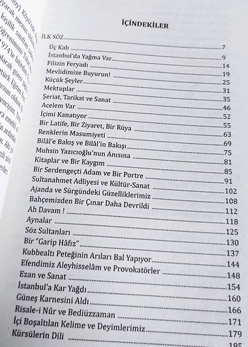 Renklerin Masumiyeti - Muhsin Duran - Görsel 6