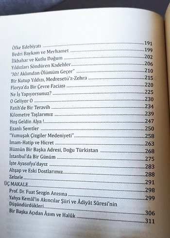 Renklerin Masumiyeti - Muhsin Duran - Görsel 7