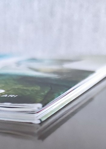 Nazım Hikmet - Üç Şiir Kitabı - Görsel 3