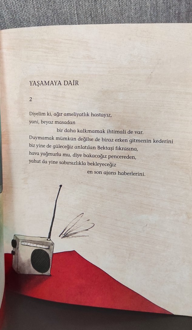 Nazım Hikmet - Üç Şiir Kitabı - Görsel 5