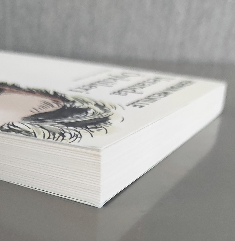 Herman Melville Veranda Öyküleri Kitabı - Görsel 4