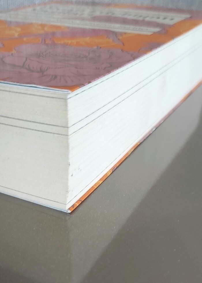 Divan Edebiyatı Yazıları - Tahirül Mevlevi  - Görsel 3