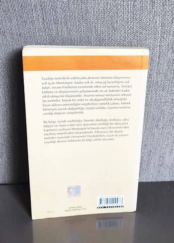 Montaigne Denemeler (Seçmeler) Kitap - Görsel 2