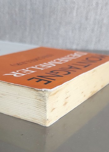 Montaigne Denemeler (Seçmeler) Kitap - Görsel 4