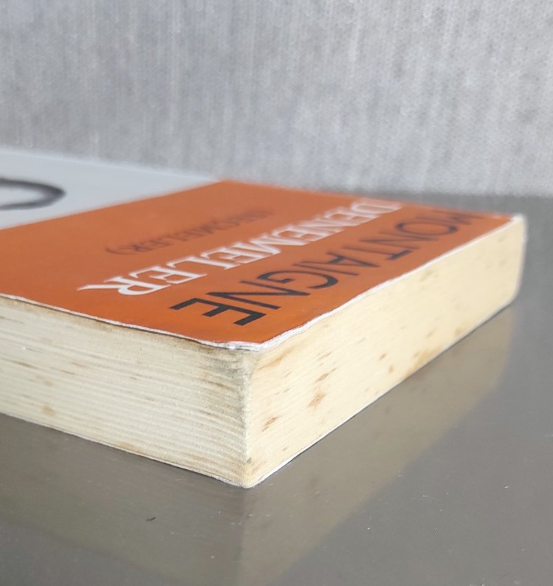 Montaigne Denemeler (Seçmeler) Kitap - Görsel 4