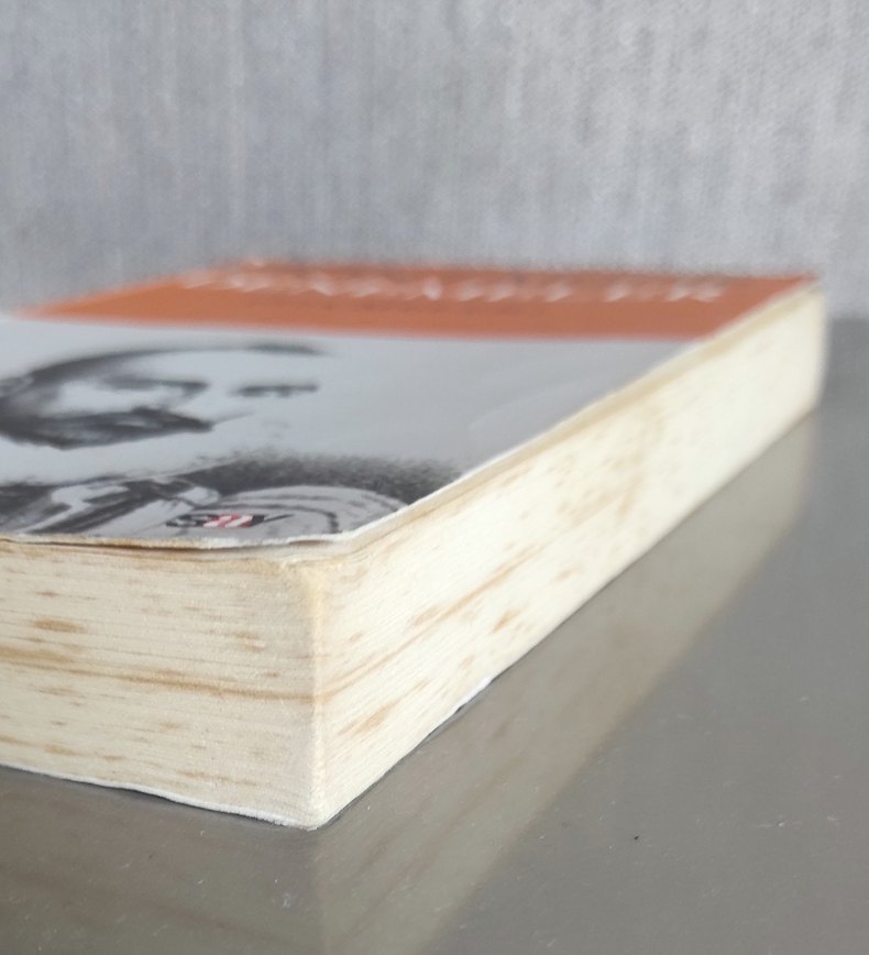 Montaigne Denemeler (Seçmeler) Kitap - Görsel 3