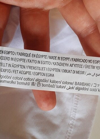 m Beden beyaz Renk Stradivarius kadın tshirt kısa kol