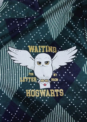 Uzun Kollu Yeşil Kareli Pijama Üstü - Görsel 4