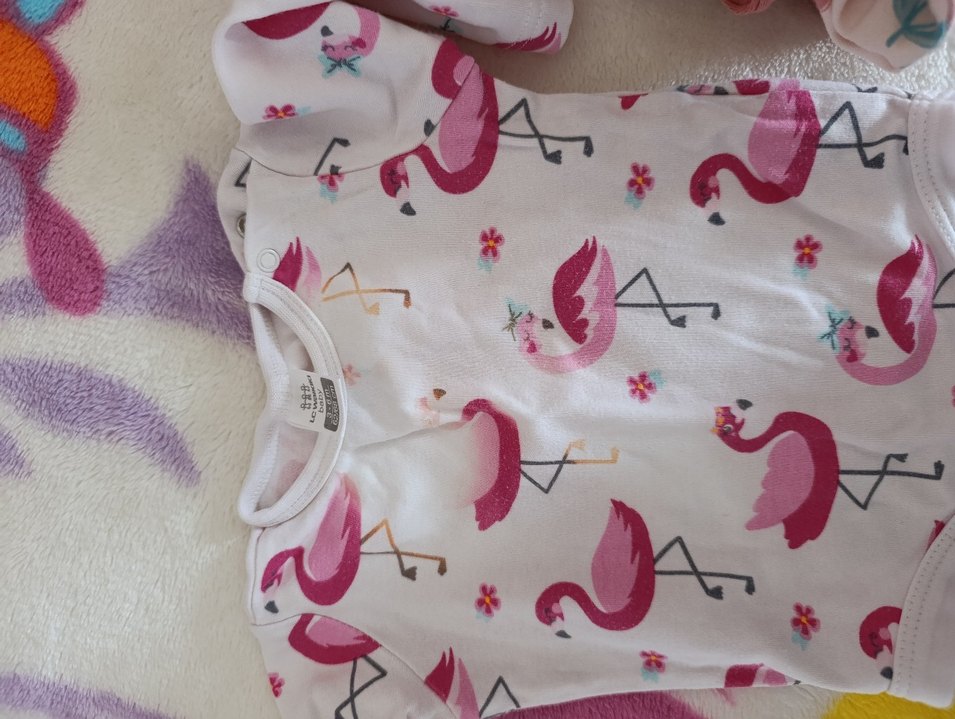 Düğmeli Zebra Desenli Kız Bebek Body - Görsel 3