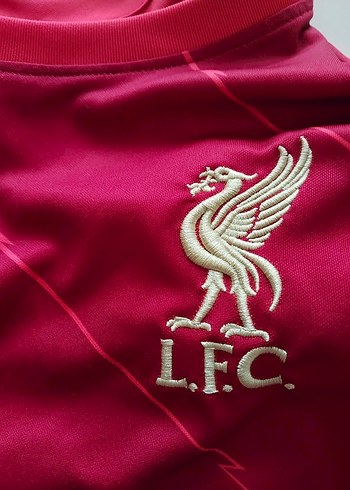 Nike XL beden Liverpool FC 2021-22 FA Kupa Finali Form - Görsel 8
