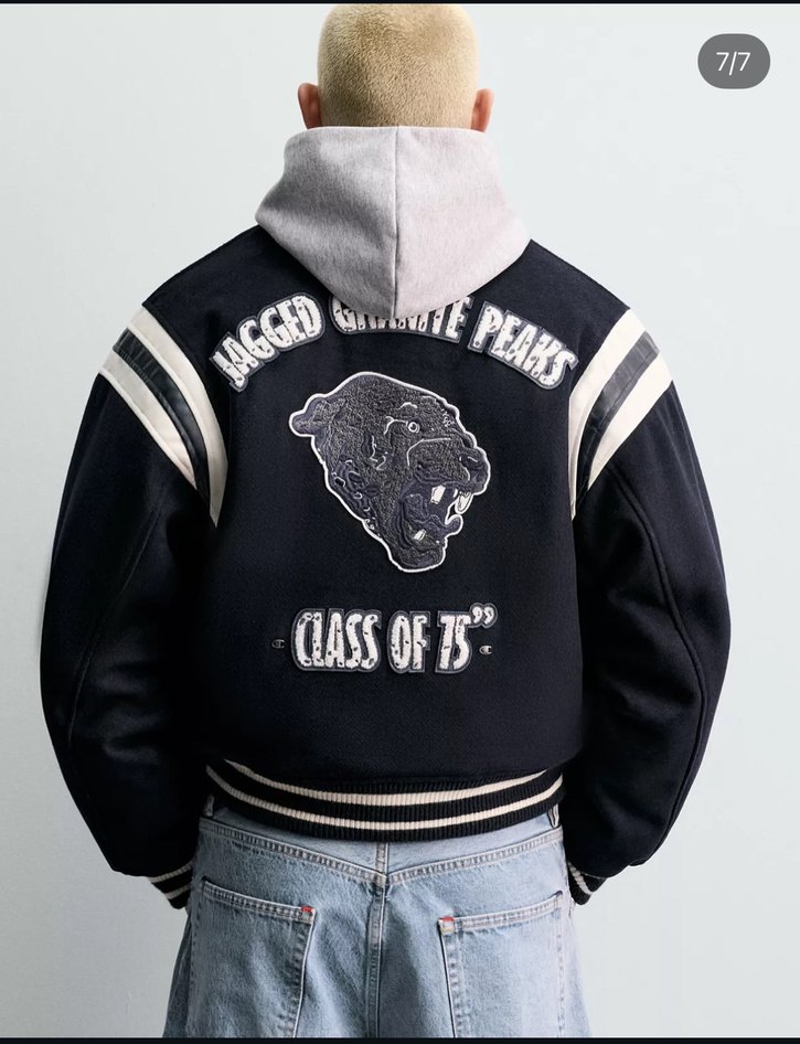 Zara Lacivert Erkek Ceket - Görsel 4