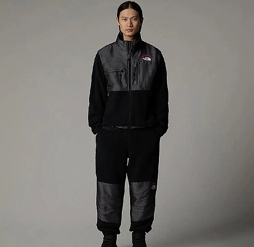 The North Face ceket