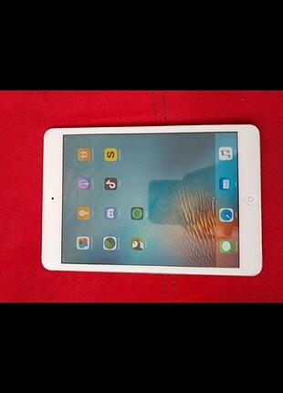 Temiz ipad mini