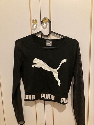 Puma üst