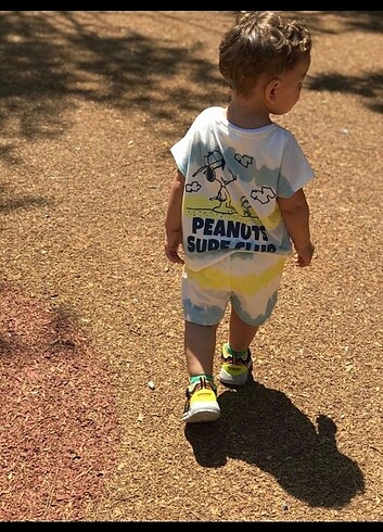 Peanut takim 