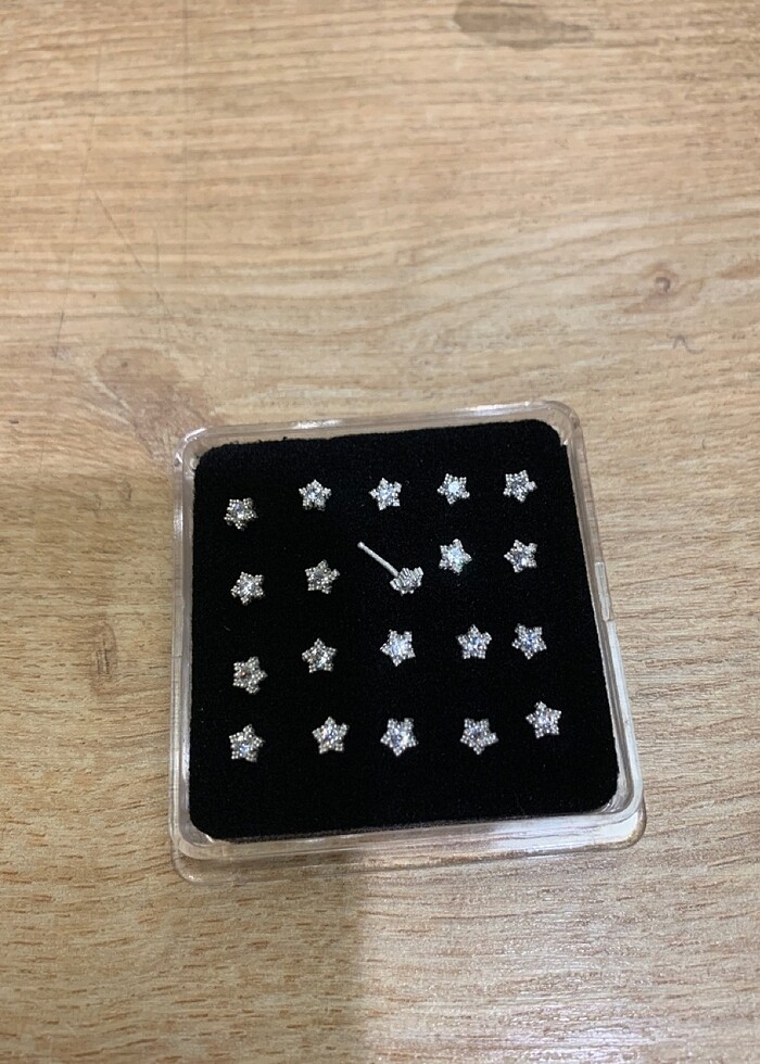 Gümüş hızma - Görsel 2