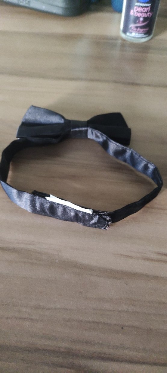 Klasik Siyah Erkek Papyon - Görsel 2