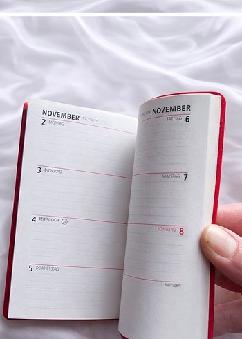 Koyu Kırmızı Planlayıcı 1998 - Görsel 4