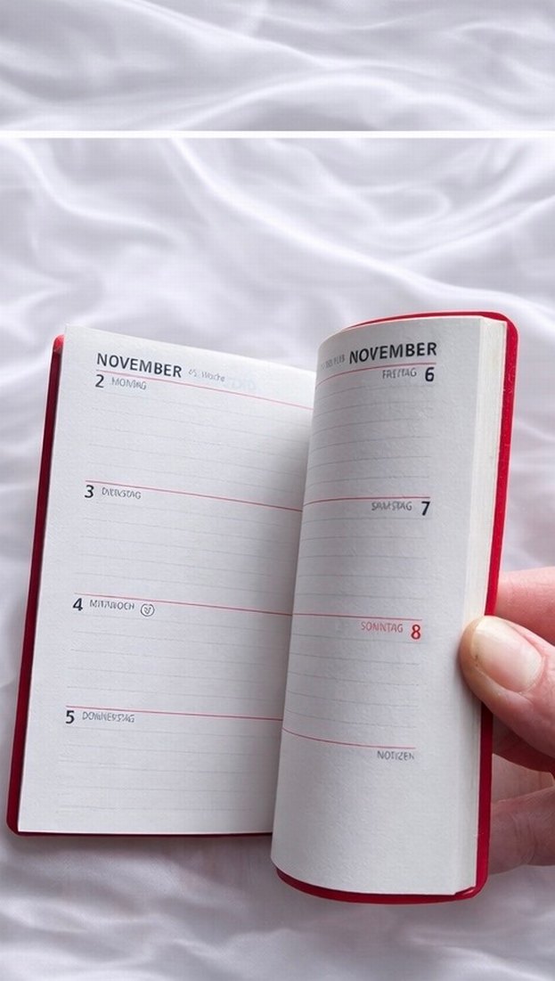 Koyu Kırmızı Planlayıcı 1998 - Görsel 4