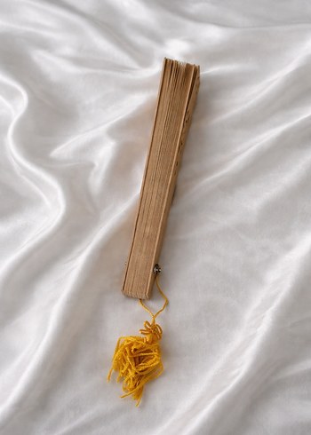 Bej Renkli El Yelpazesi - Görsel 4