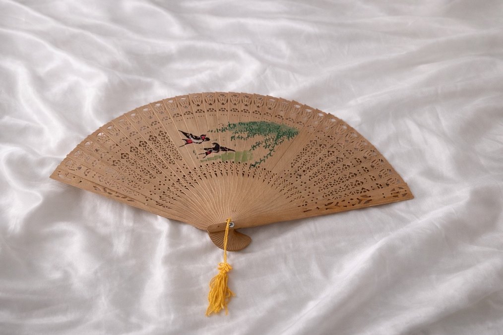 Bej Renkli El Yelpazesi - Görsel 2