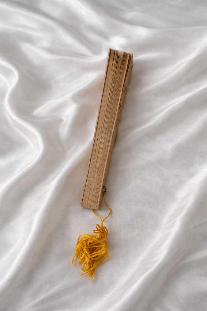 Bej Renkli El Yelpazesi - Görsel 4