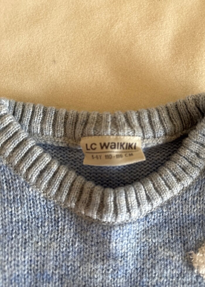 Bulutlu erkek kazagı - Görsel 3