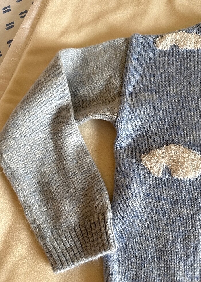 Bulutlu erkek kazagı - Görsel 2