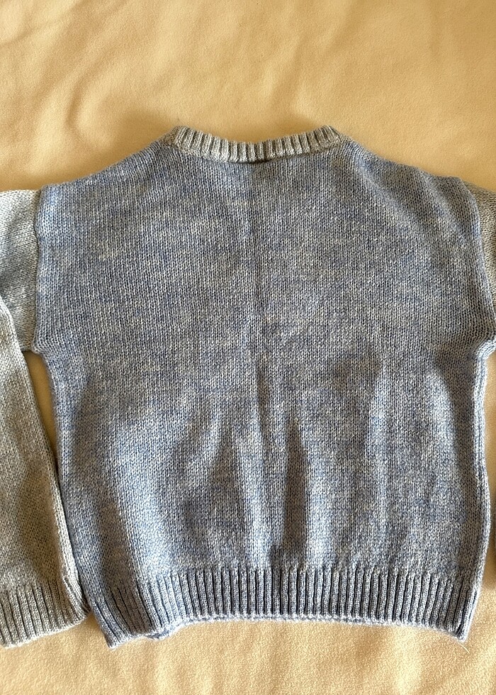 Bulutlu erkek kazagı - Görsel 4