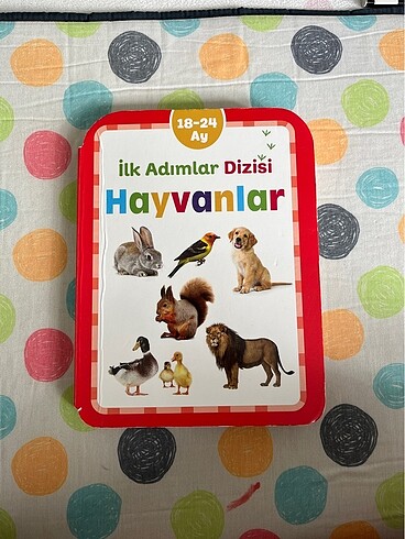 Karton Kitap