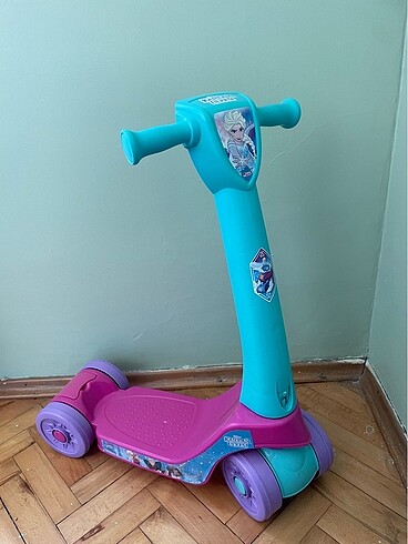 Scoter