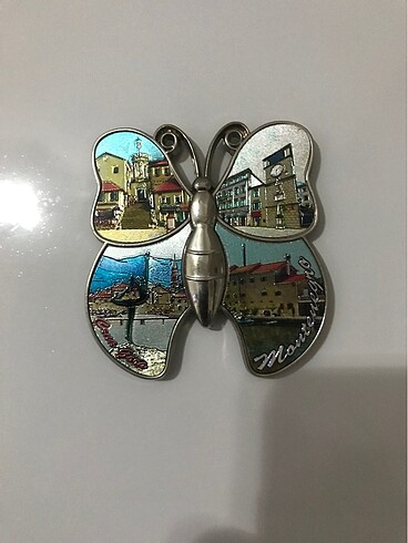 Magnet