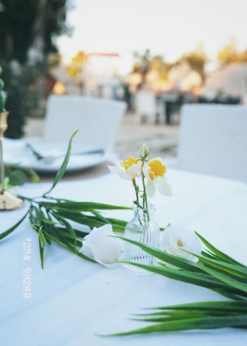 Şeffaf Beyaz Küçük Vazo - Görsel 2