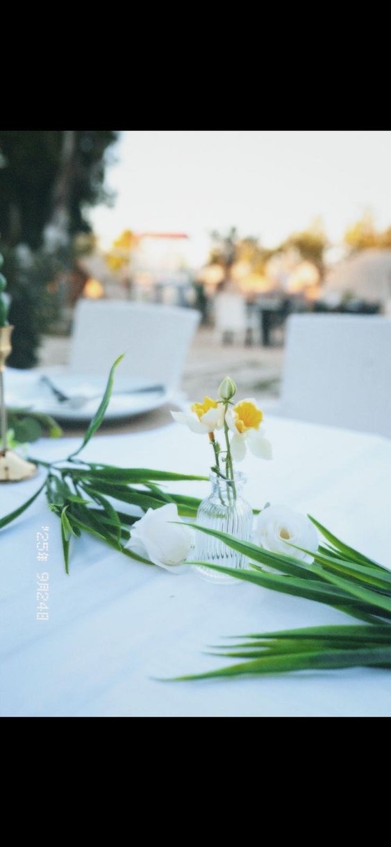 Şeffaf Beyaz Küçük Vazo - Görsel 2