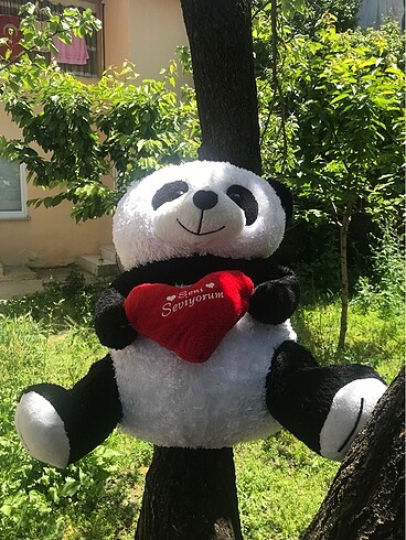  Oyuncak ayı