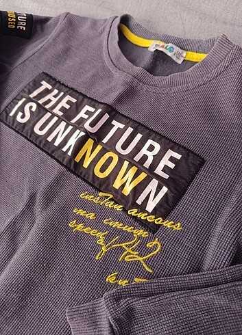 Diğer 8 yaş erkek çocuk gri sweatshirt