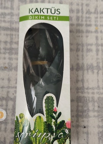 Kaktüs dikim Seti