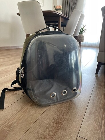 Dyson Kedi taşıma çantası