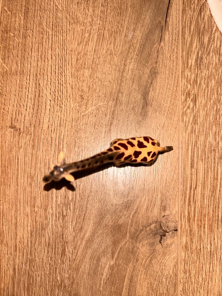 Renkli Ahşap Zürafa Oyuncak - Görsel 3