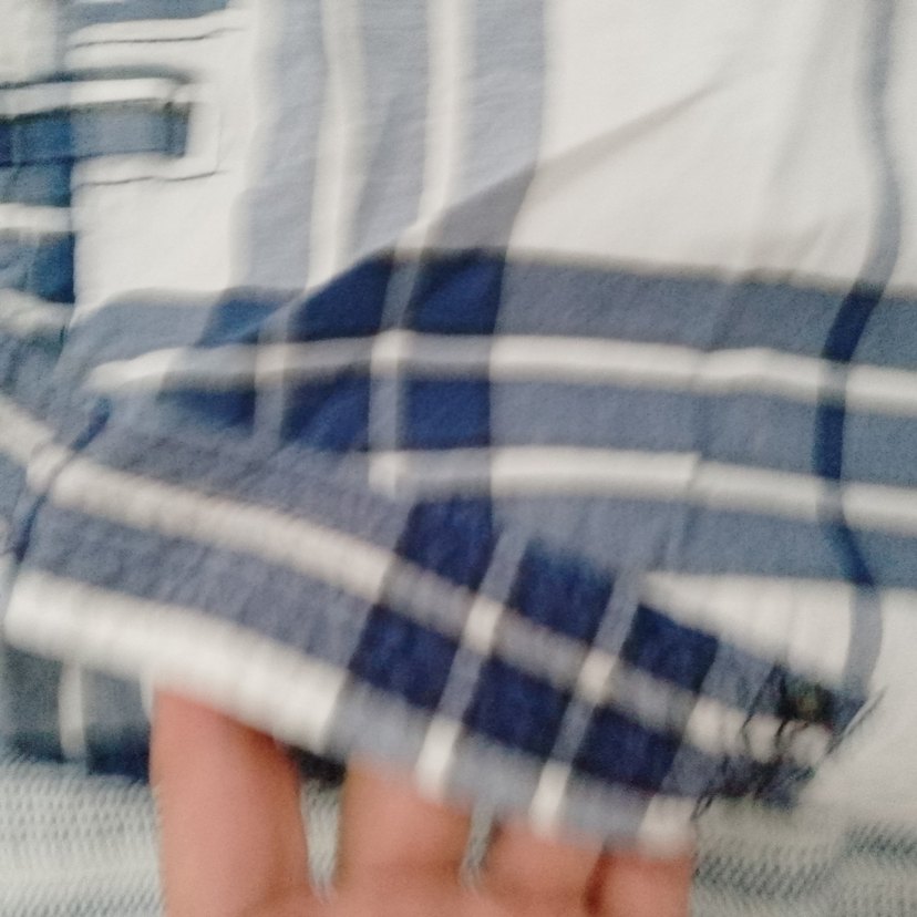 markalı kaliteli erkek şort - Görsel 4