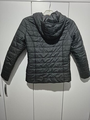 38 Beden Montt