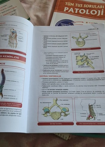dolap kullanicisi icin kitap