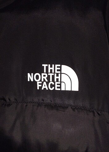 s Beden siyah Renk The North Face mont