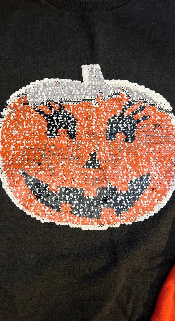 Renkli Payetli Kız Çocuk Sweatshirt - Görsel 2